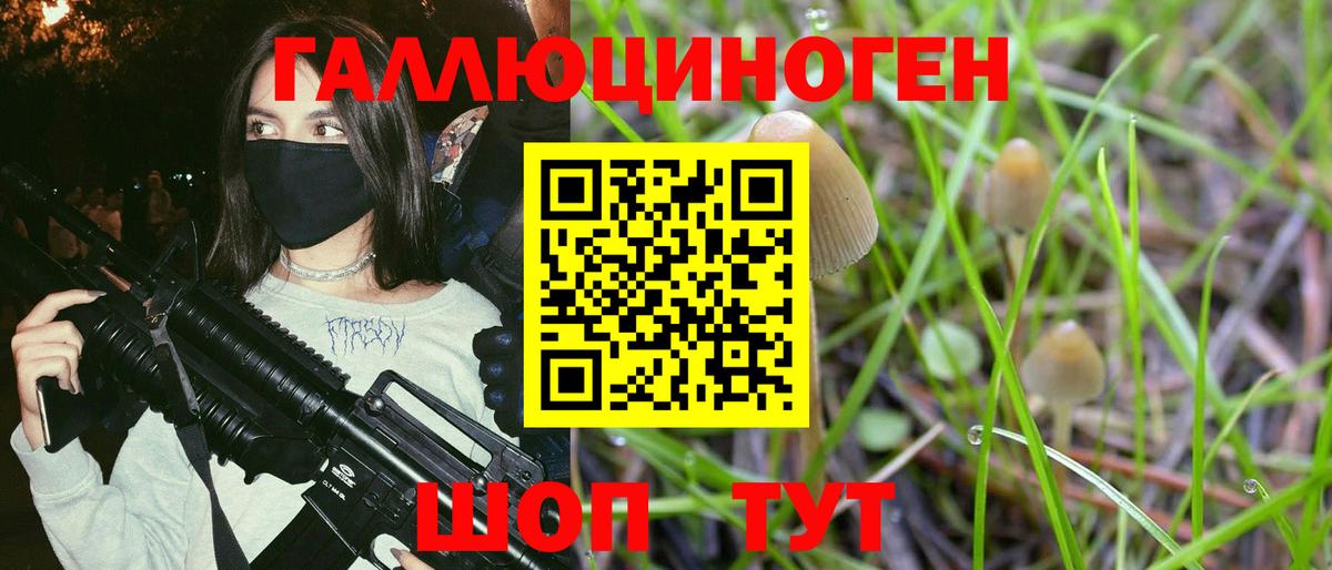Галлюциногенные грибы GOLDEN TEACHER Ахтубинск