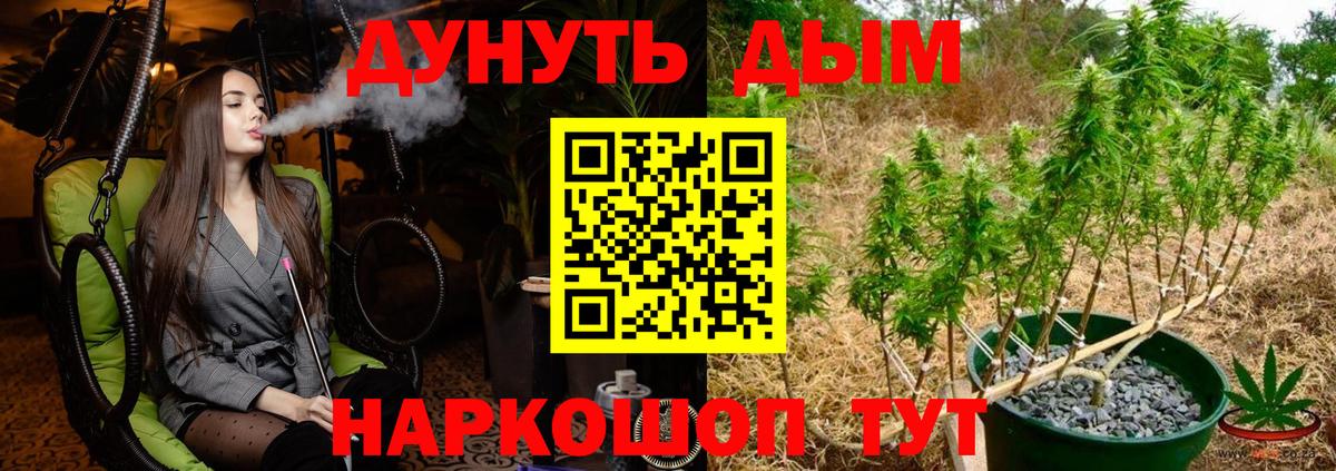 Ахтубинск  Бошки марихуана конопля  Вход с VPN  Канабис ГИДРОПОН  Канабис SATIVA & INDICA 